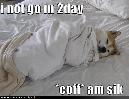 funny-dog-pictures-sick-in-bed-cough.jpg